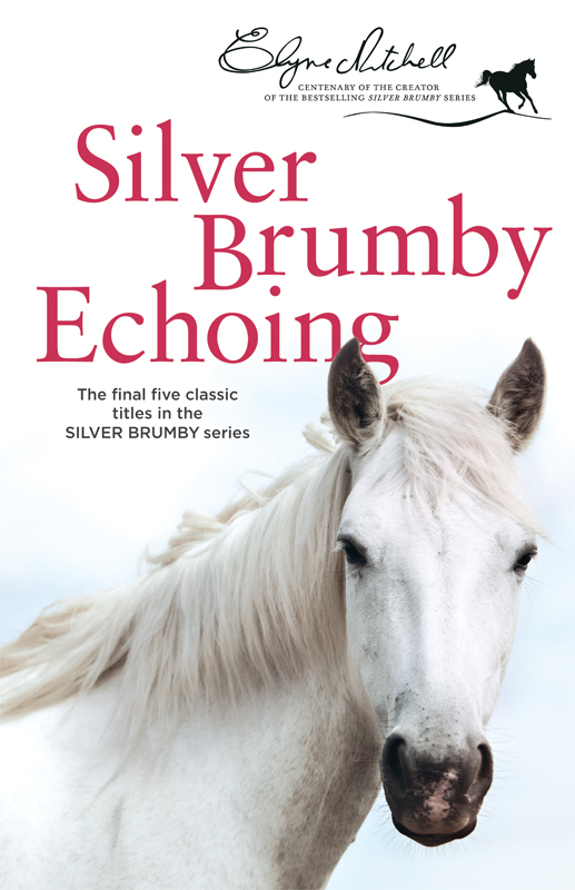 Silver Brumby Echoing