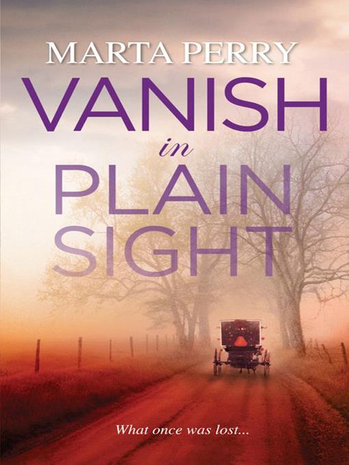Vanish In Plain Sight