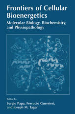 Frontiers of Cellular Bioenergetics : Molecular Biology, Biochemistry, and Physiopathology