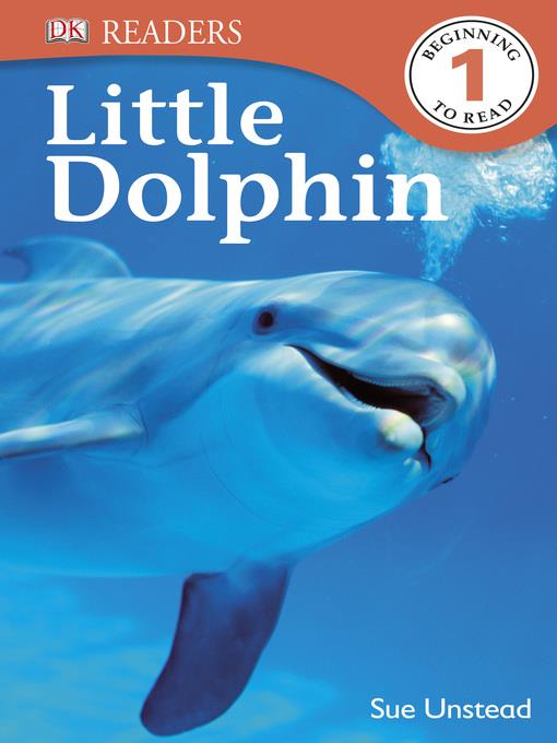 Little Dolphin