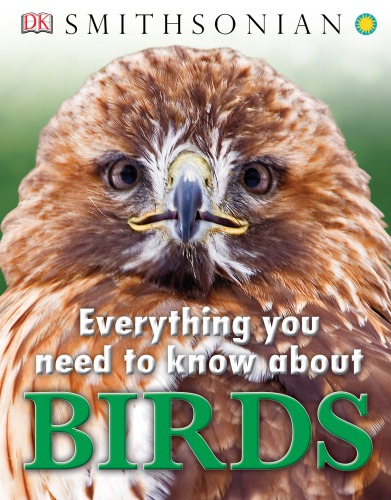 Everything You Need to Know About Birds
