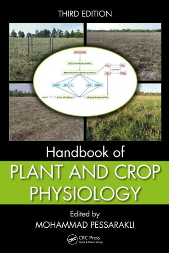 Handbook of Plant and Crop Physiology