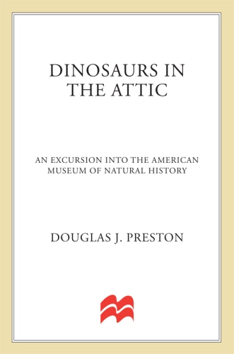 Dinosaurs in the Attic