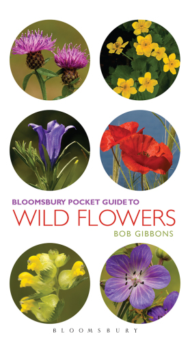 Pocket guide to wild flowers