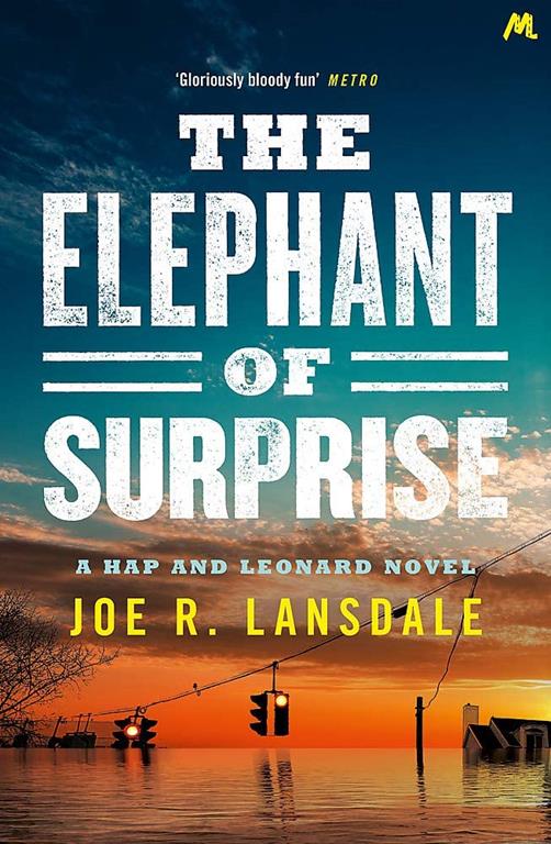 The Elephant of Surprise