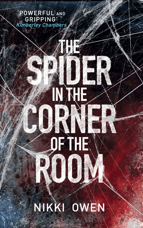 The Spider in the Corner of the Room