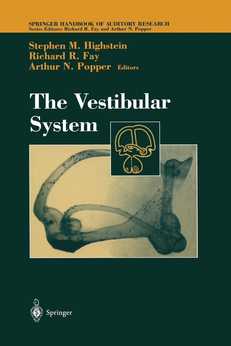 The Vestibular System (Springer Handbook of Auditory Research, 19)