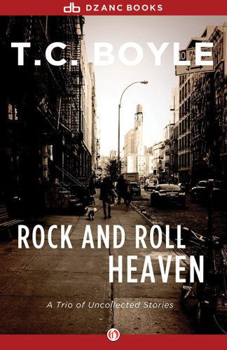 Rock and Roll Heaven