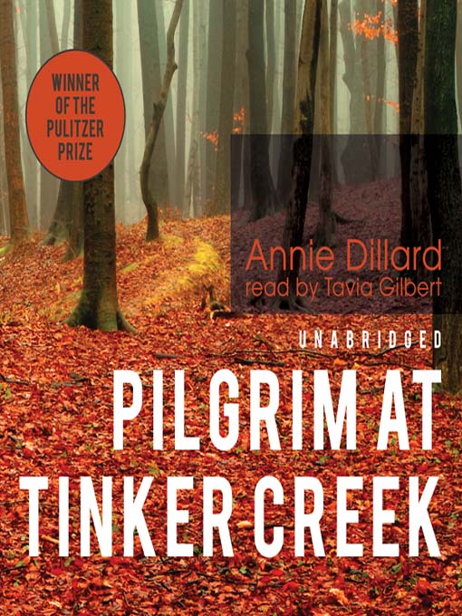 Pilgrim at Tinker Creek