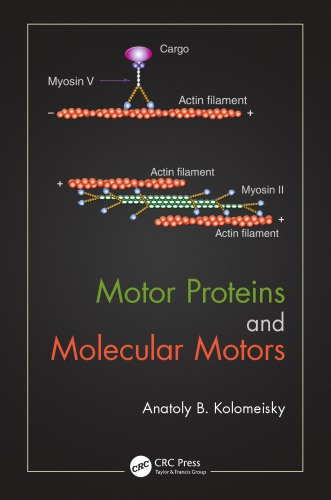 Motor proteins and molecular motors