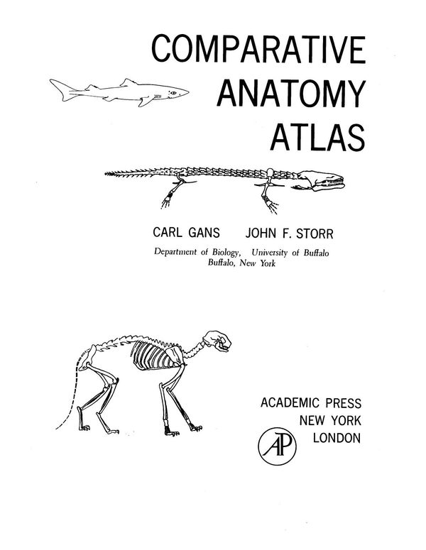 Comparative Anatomy Atlas