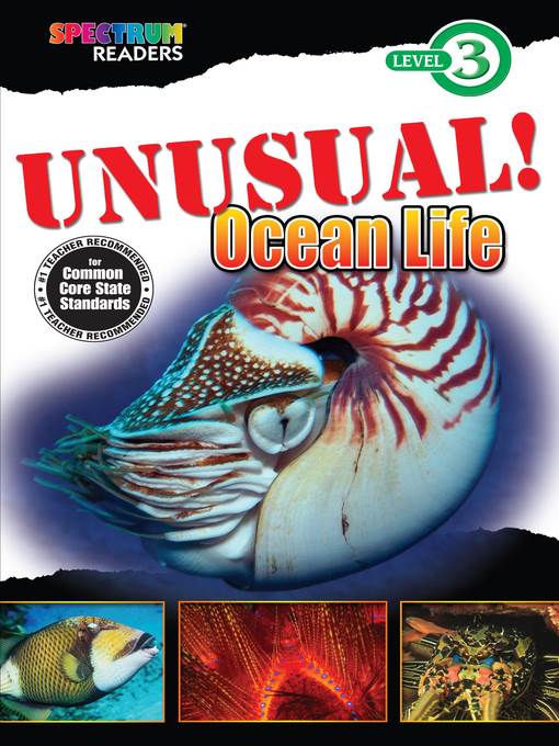 UNUSUAL! Ocean Life