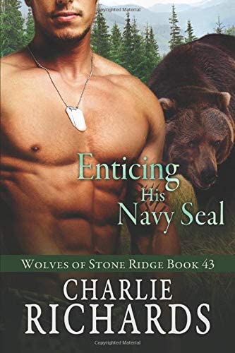 Enticing his Navy Seal (Wolves of Stone Ridge)