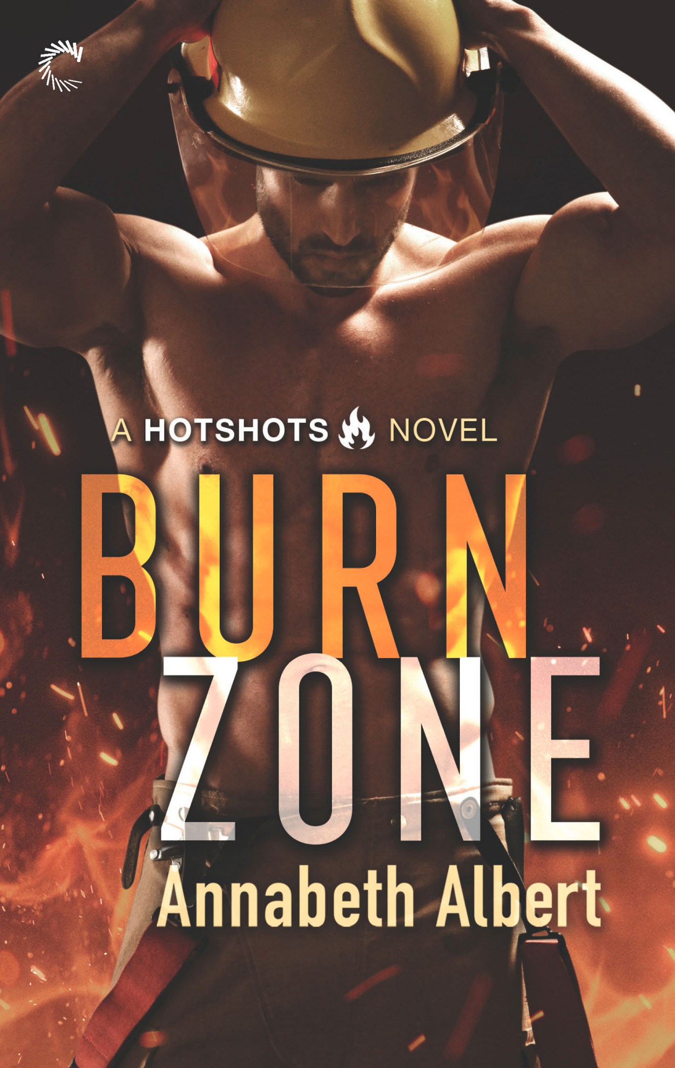 Burn Zone--A Gay Firefighter Romance