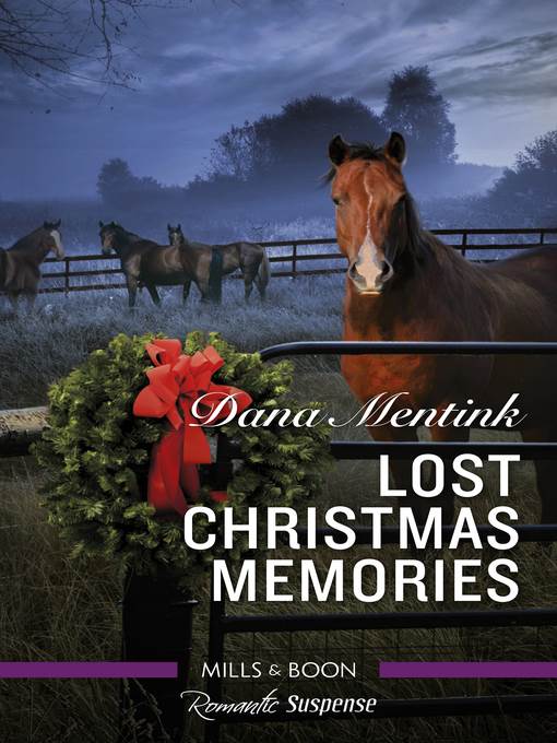 Lost Christmas Memories