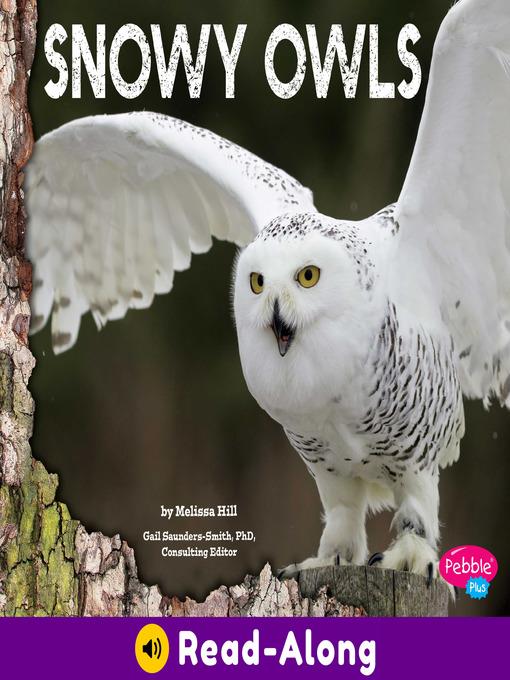 Snowy Owls