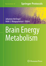 Brain energy metabolism.