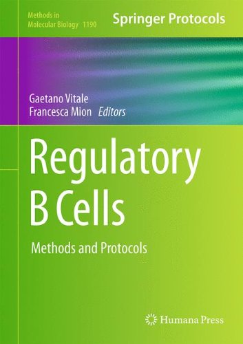 Regulatory B Cells