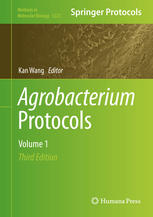 Agrobacterium protocols