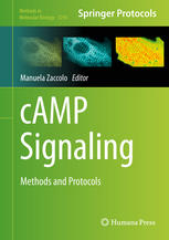 Camp Signaling