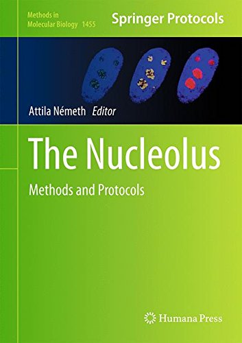 The Nucleolus