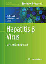 Hepatitis B Virus Methods and Protocols