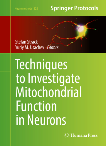 Techniques to Investigate Mitochondrial Function in Neurons