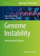 Genome Instability : Methods and Protocols