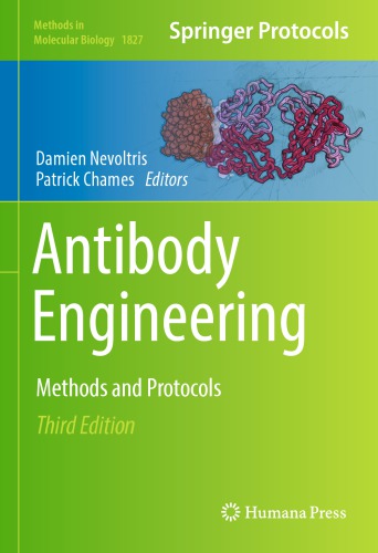 Antibody Engineering