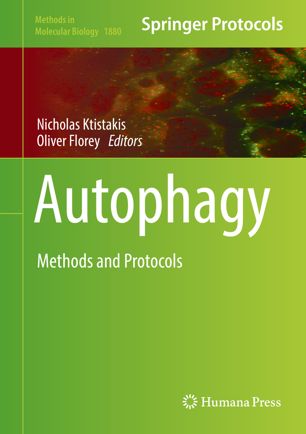Autophagy : Methods and Protocols