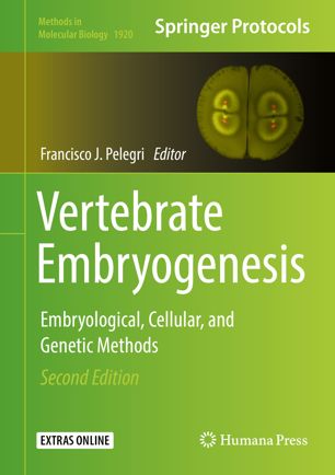 Vertebrate embryogenesis : embryological, cellular, and genetic methods