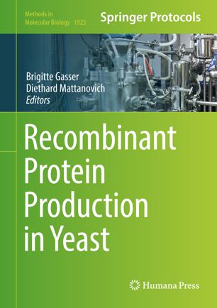 Recombinant protein production in yeast