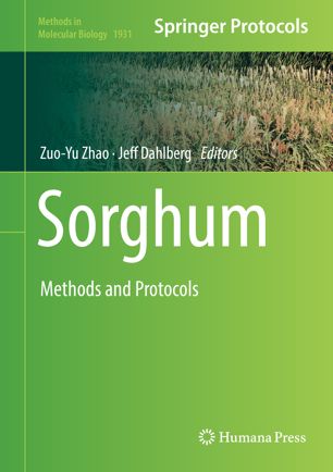 Sorghum Methods and Protocols