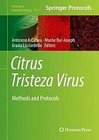 Citrus Tristeza Virus