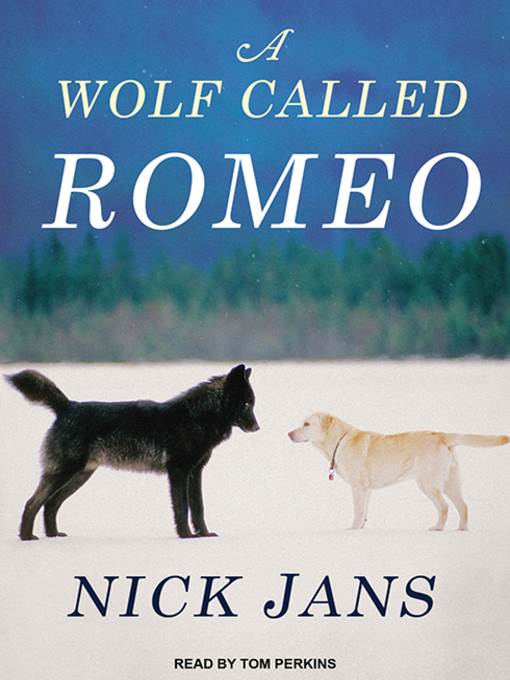 A Wolf Called Romeo