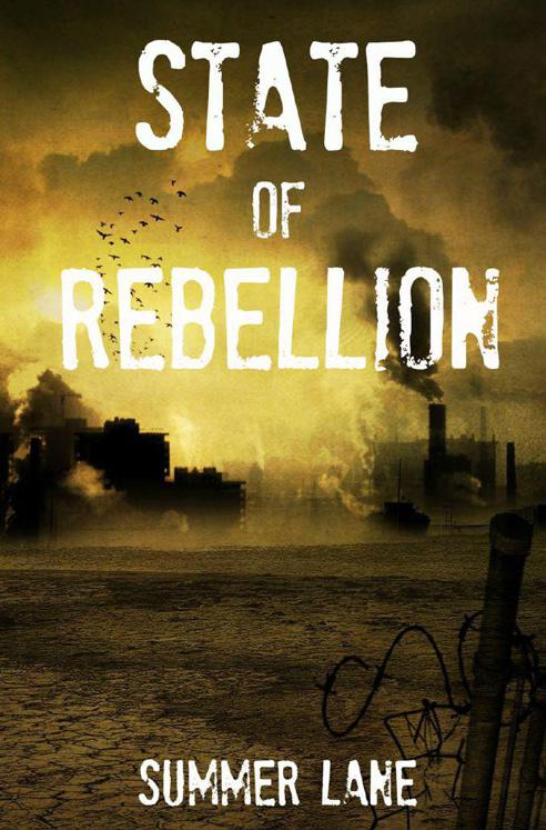 State of Rebellion