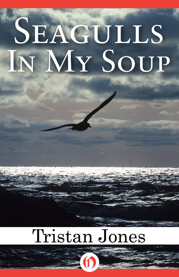 Seagulls in My Soup