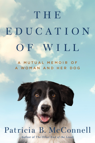 The Education of Will