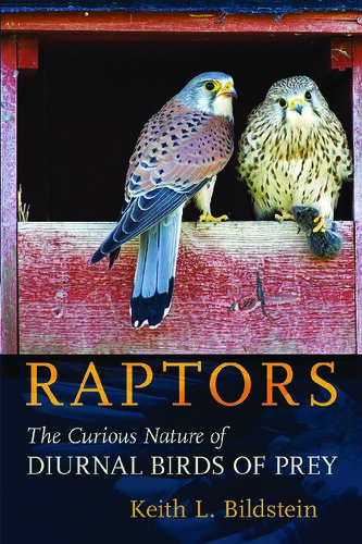 Raptors