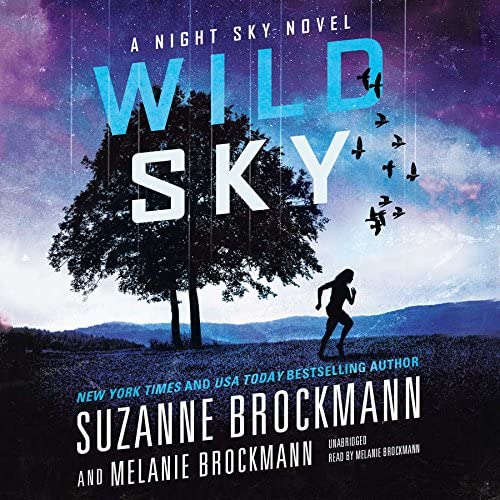 Wild Sky (Night Sky Series, Book 2)