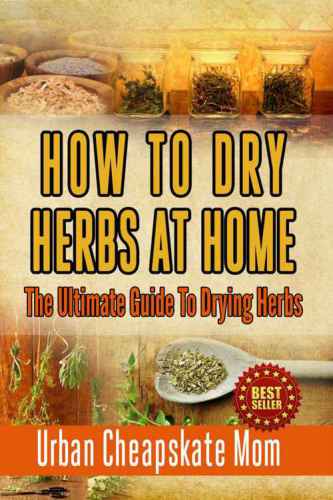 How To Dry Herbs At Home