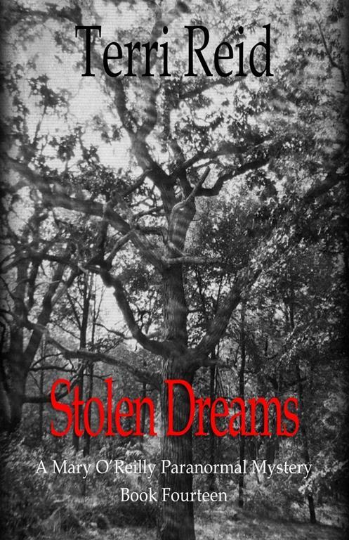 Stolen Dreams - A Mary O'Reilly Paranormal Mystery - Book Fourteen (Mary O'Reilly Series)