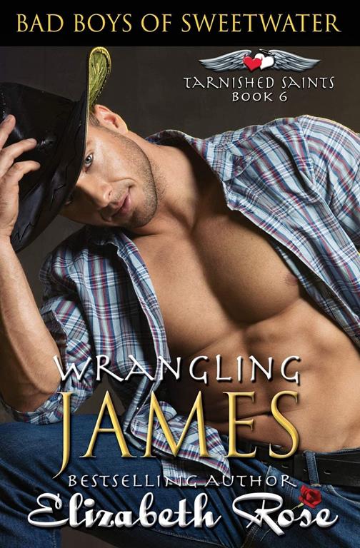 Wrangling James (Bad Boys of Sweetwater: Tarnished Saints Series) (Volume 6)