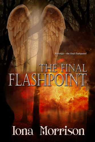 The Final Flashpoint