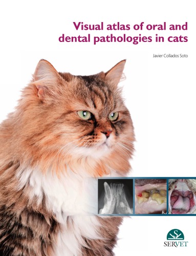 Visual atlas of oral and dental pathologies in cats