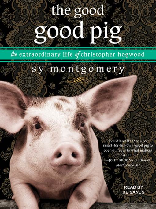 The Good Good Pig