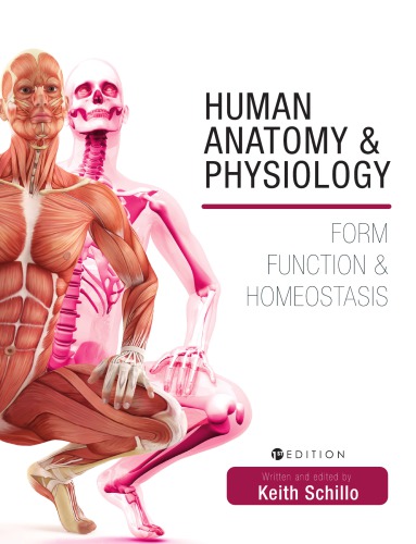 Human Anatomy and Physiology