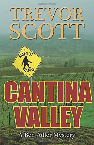 Cantina Valley: A Ben Adler Mystery (Volume 1)