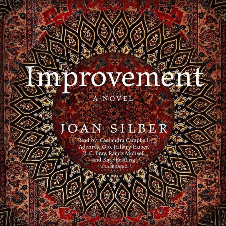 Improvement: A Novel