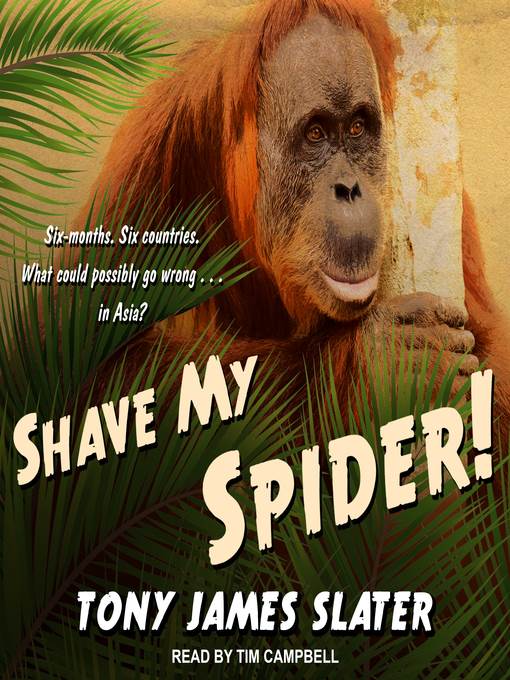 Shave My Spider!